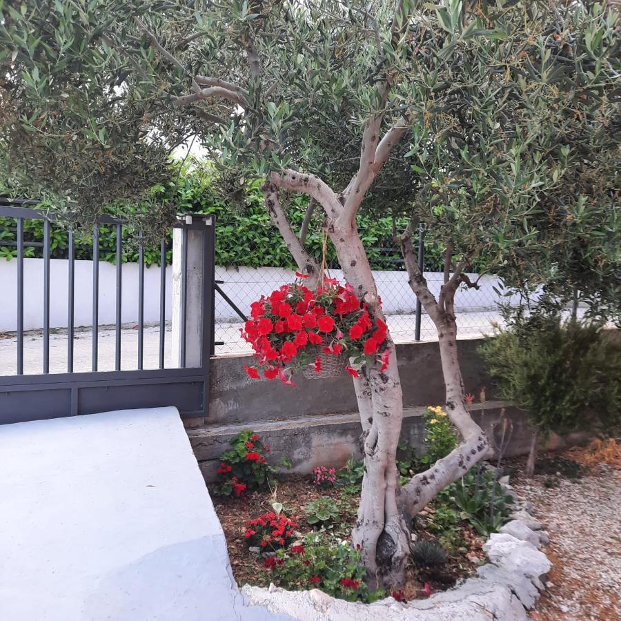 Studio Apartman Mare Trogir Extérieur photo