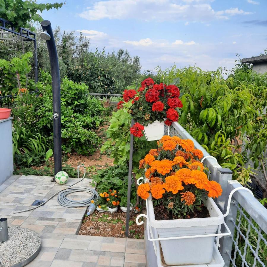 Studio Apartman Mare Trogir Extérieur photo