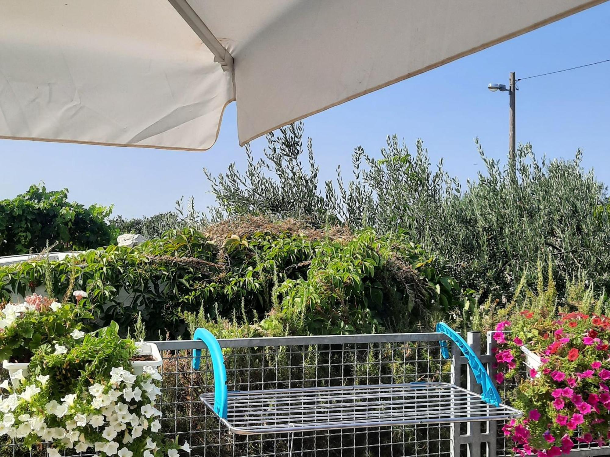 Studio Apartman Mare Trogir Extérieur photo